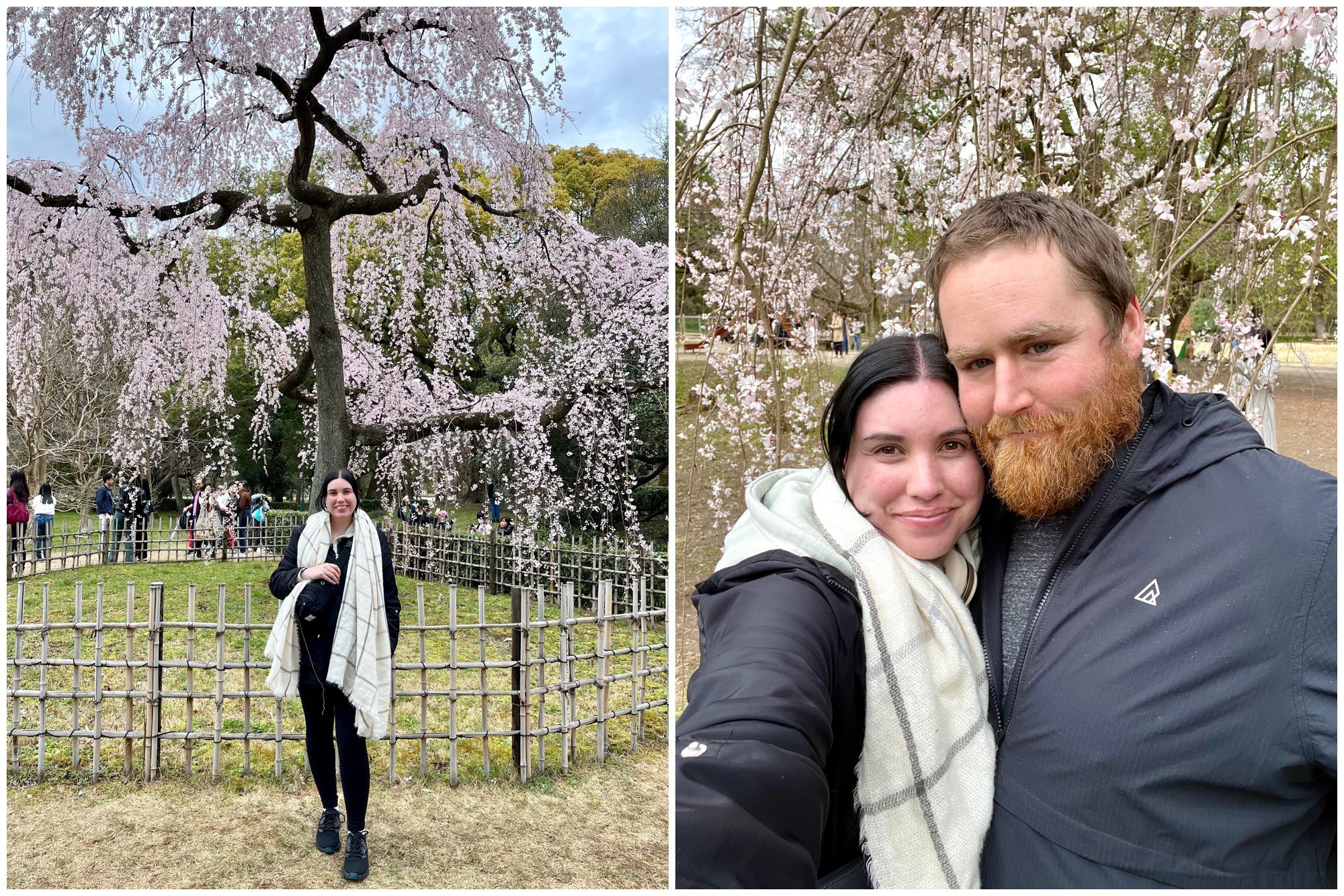 Japan, Kyoto Imperial Palace