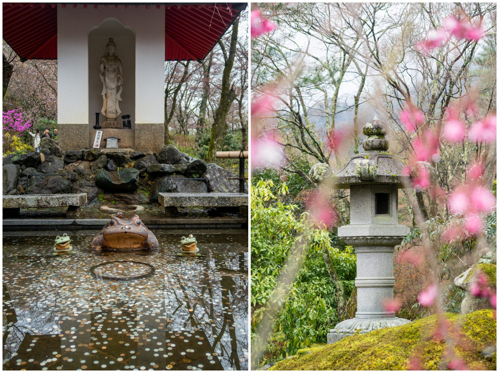 Japan, Tenryu-ji Temple