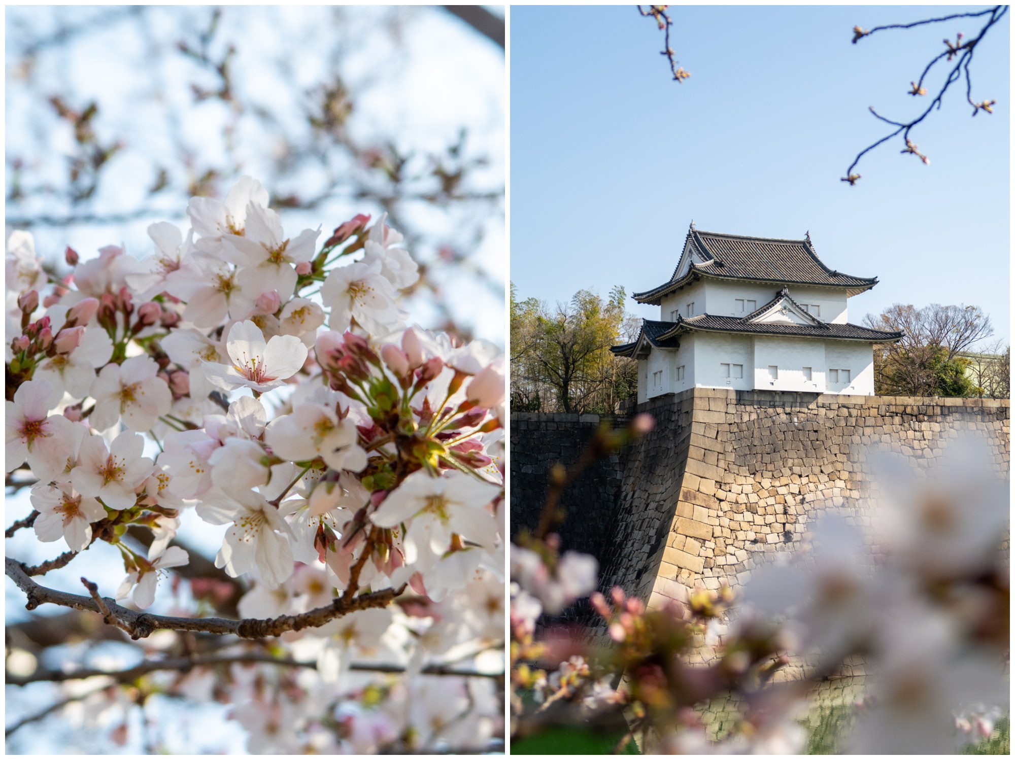 Japan, Osaka Castle