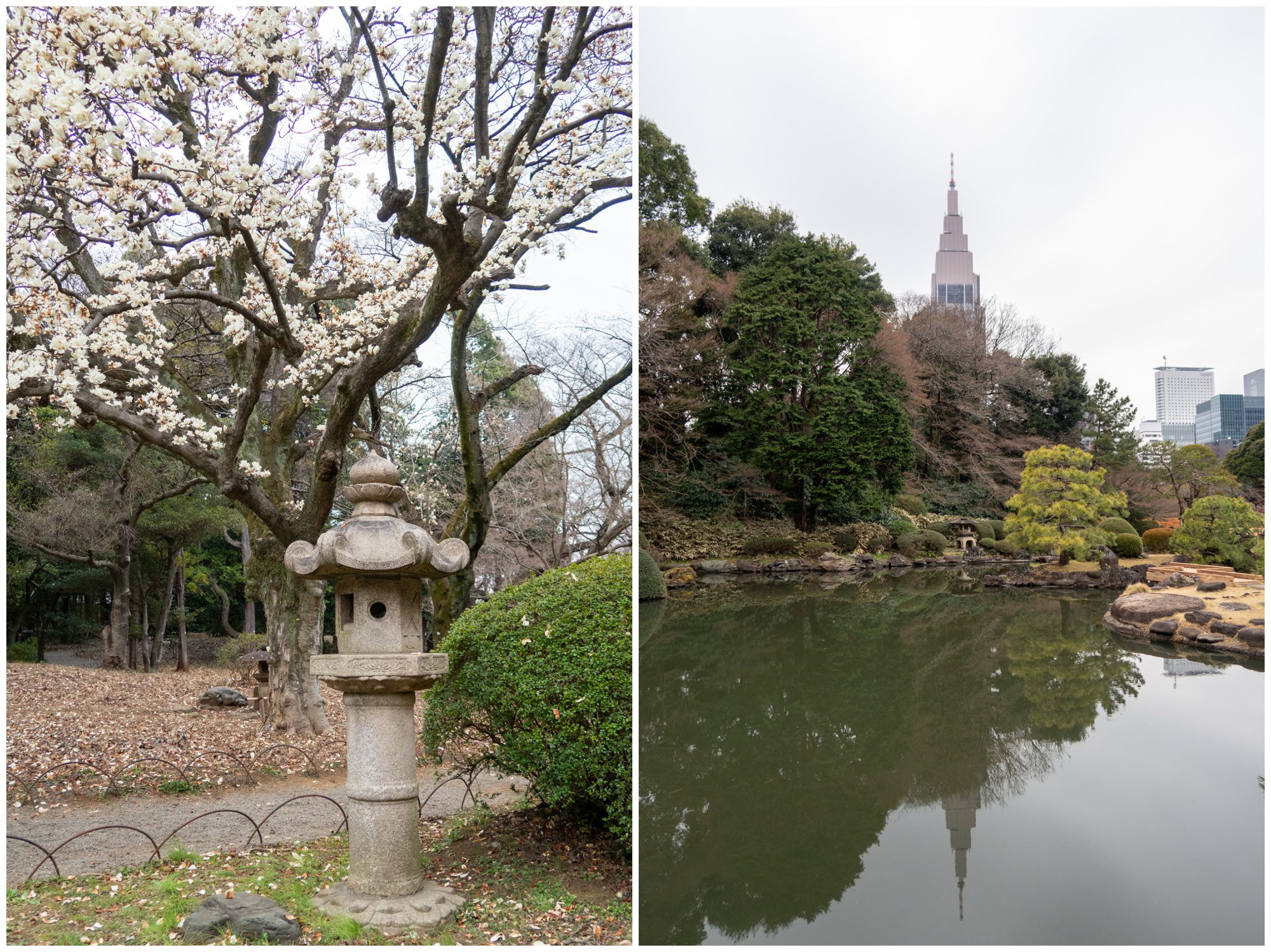 Japan, Shinjuku Gyoen National Garden