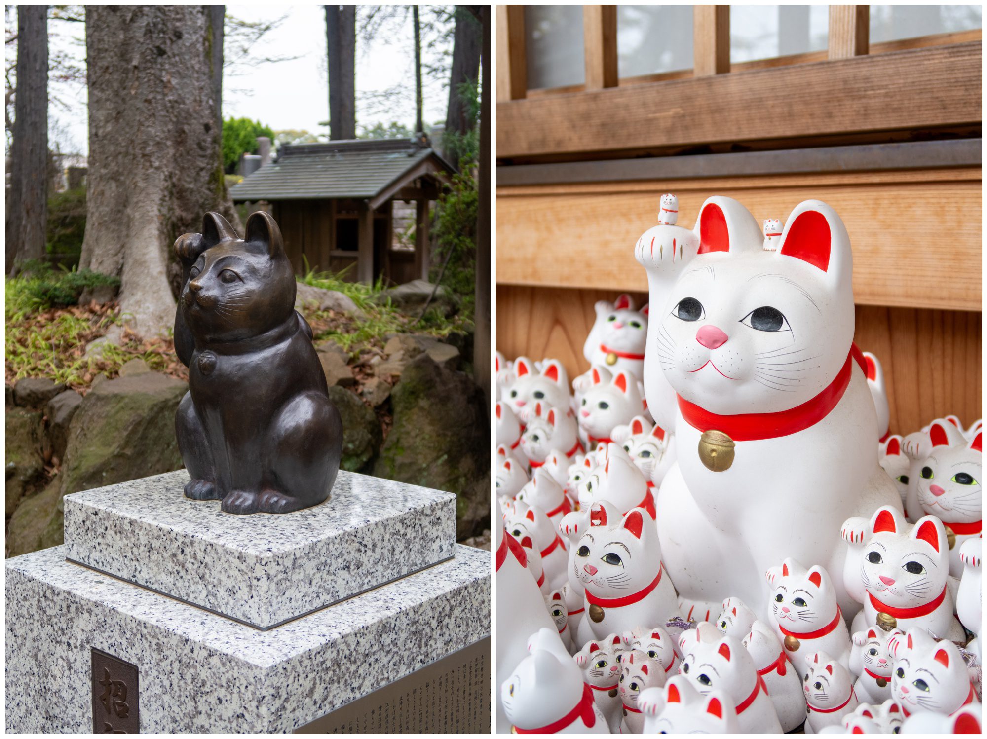 Japan, Gotokuji Temple