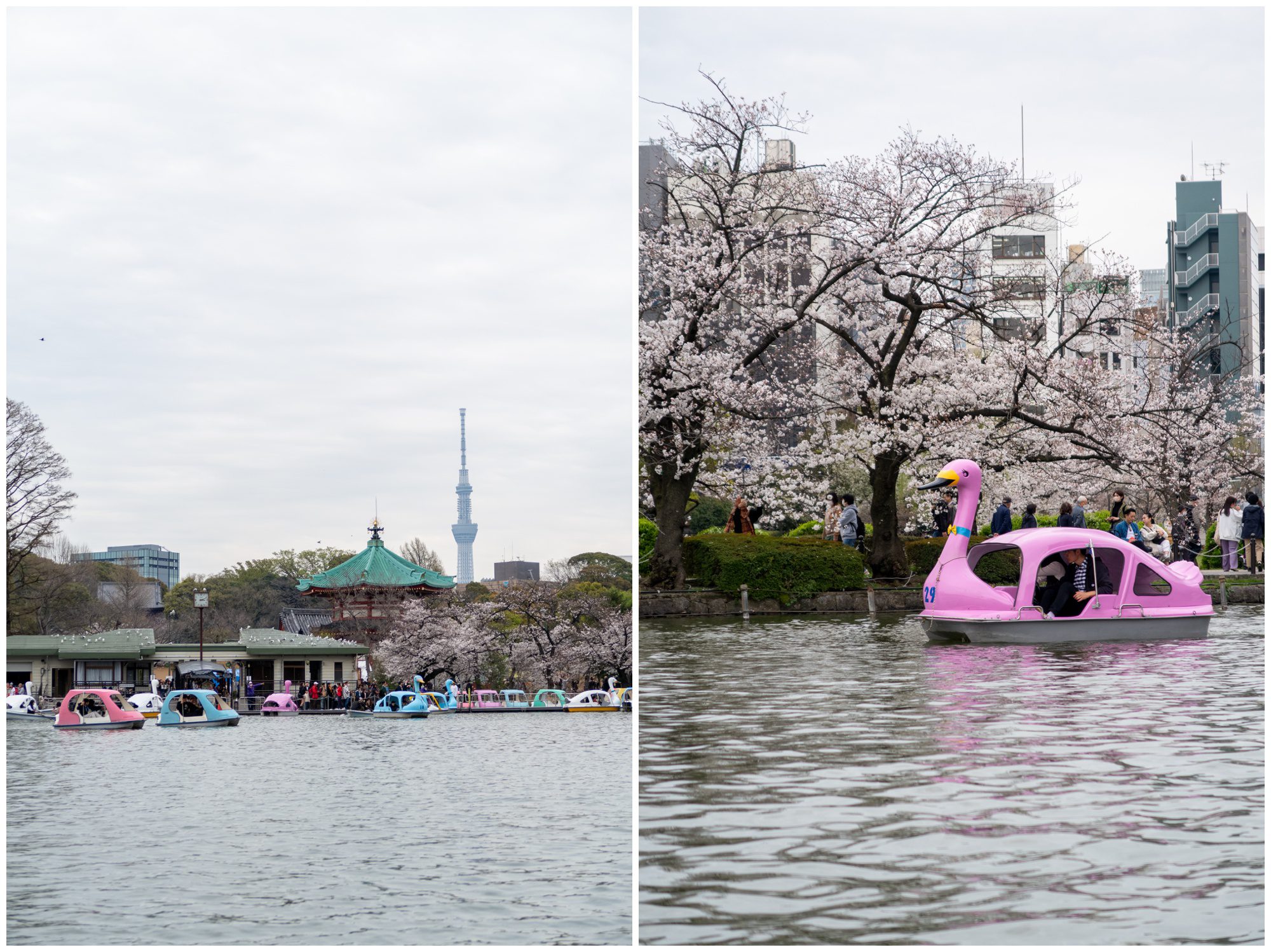 Japan, Ueno Park