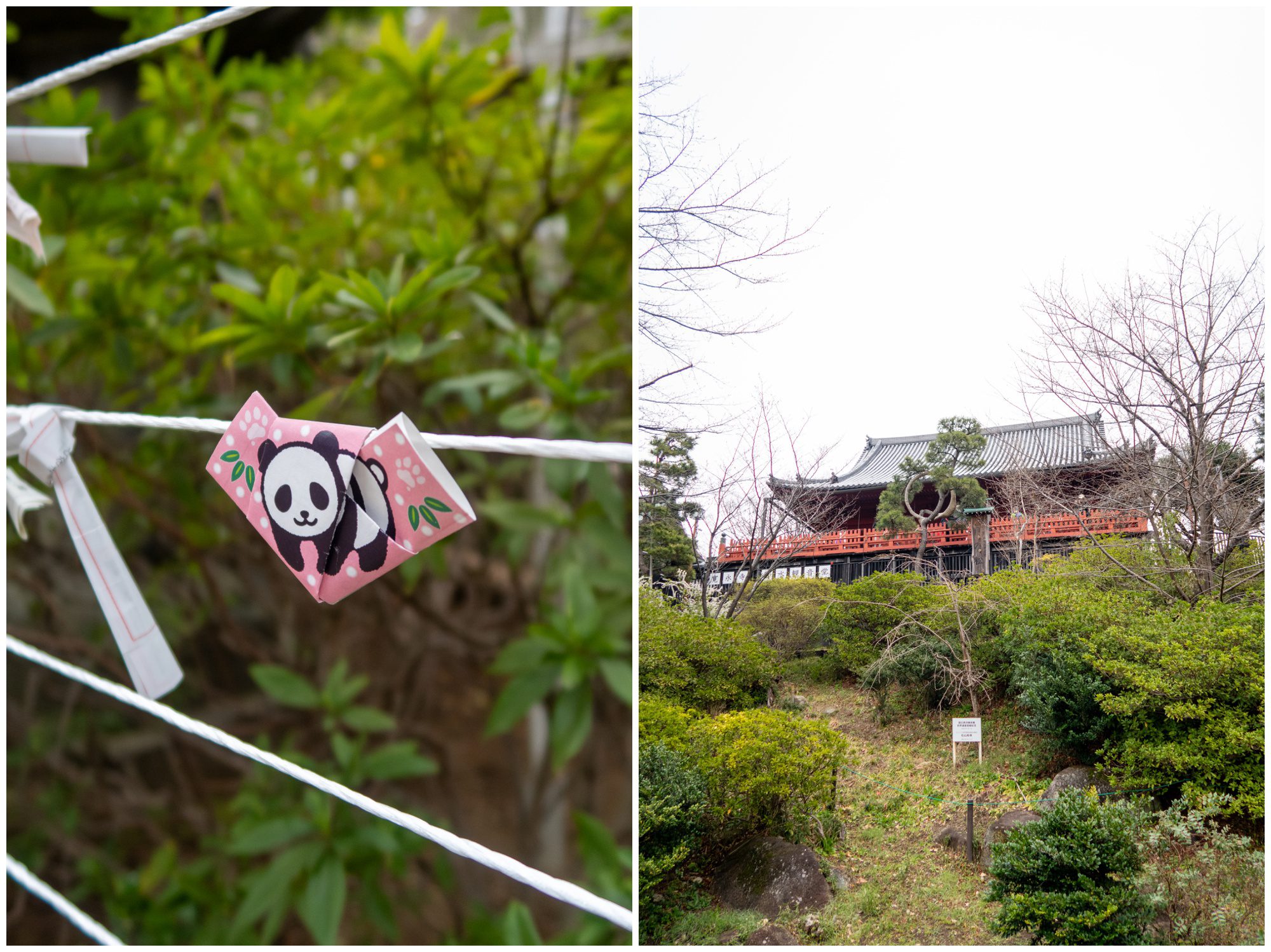 Japan, Ueno Park