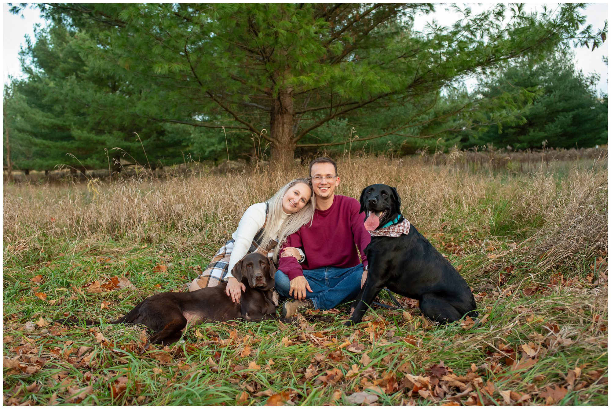 Couple sitting in the grass with their labs at Komoka Provincial Park